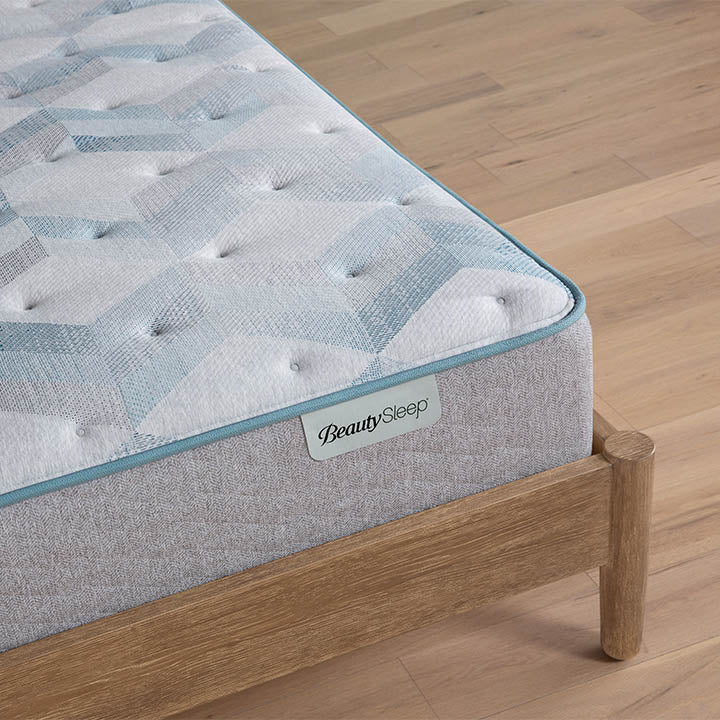 Dream Weaver 13.75" Plush Mattress